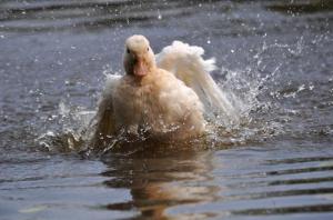 !cid_2ce0e7b1-8472-47e1-ad2b-527d870fcd11