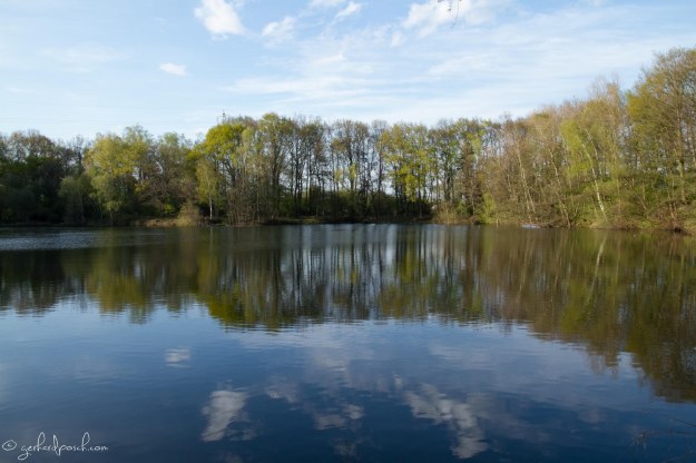 Bild ohne RAW Bearbeitung